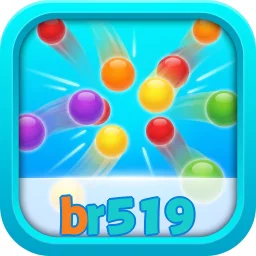 br519